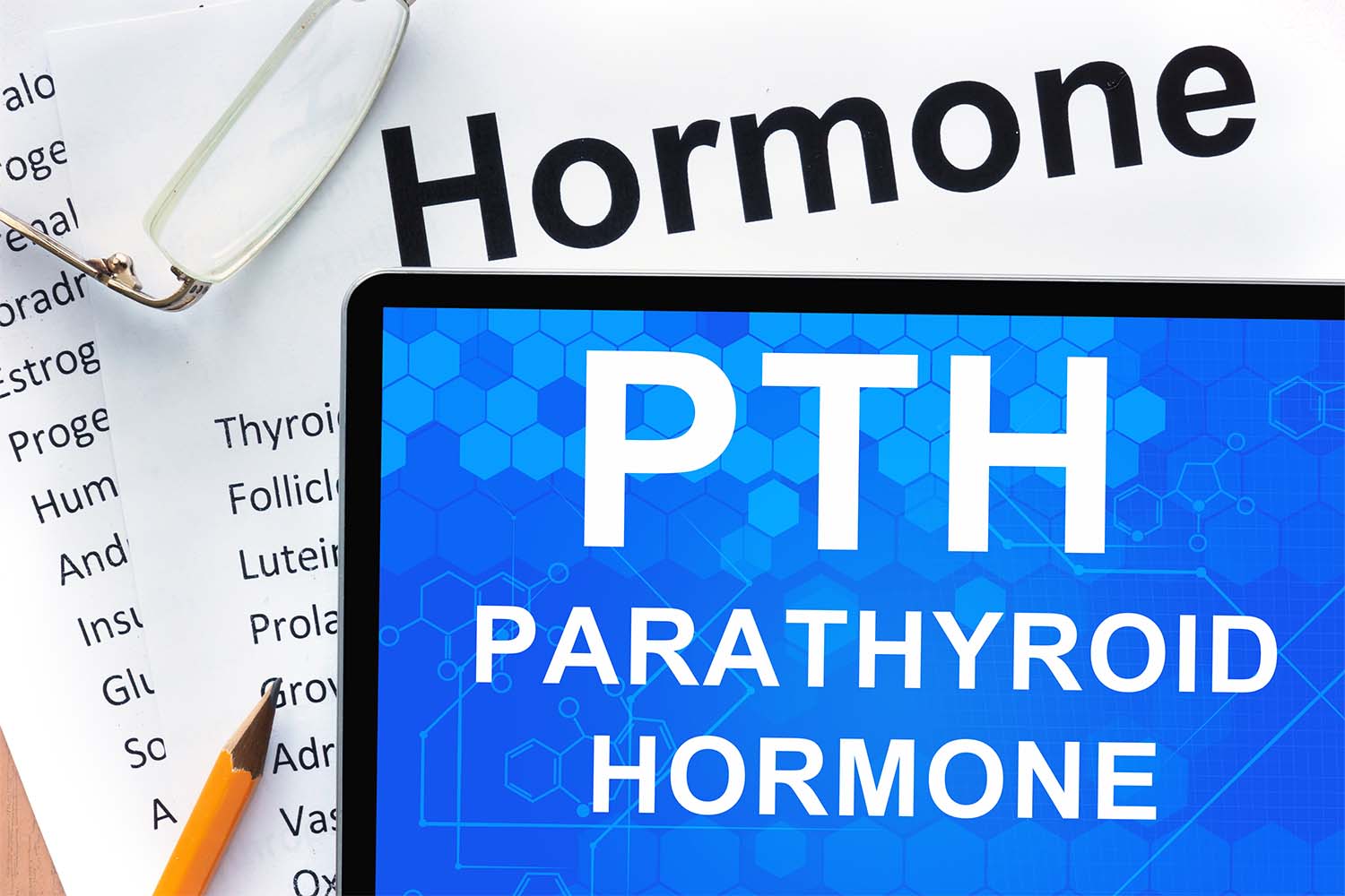 What Does Parathyroid Hormone Do?